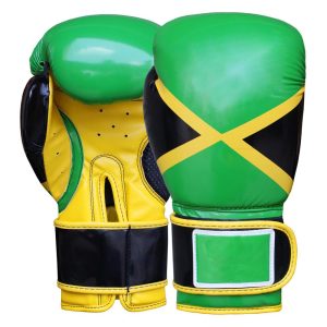 Boxing Gloves