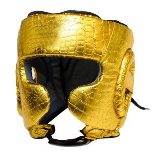 Head Guard
